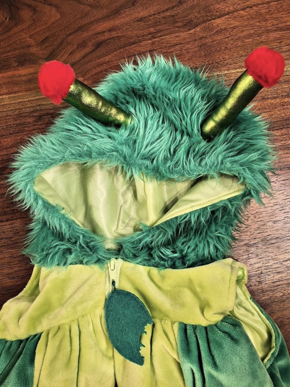 Green Insect Costume - Picture 3 of 4